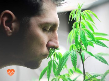 Детоксикация от марихуаны в Погаре